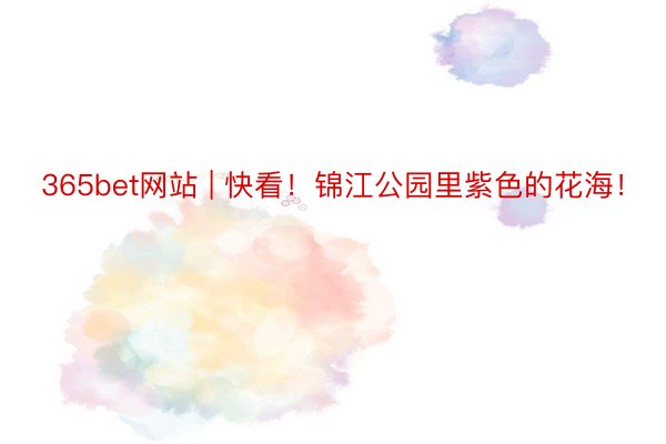 365bet网站 | 快看！锦江公园里紫色的花海！