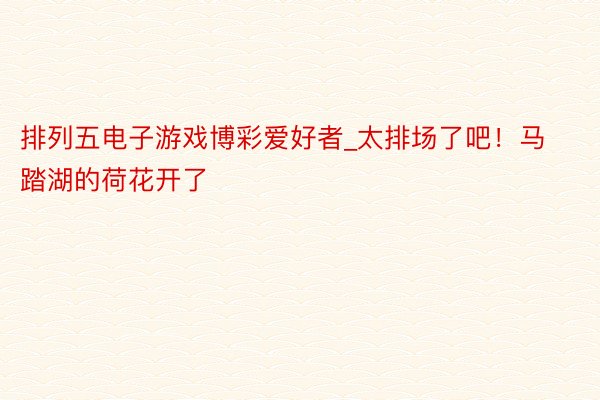 排列五电子游戏博彩爱好者_太排场了吧！马踏湖的荷花开了