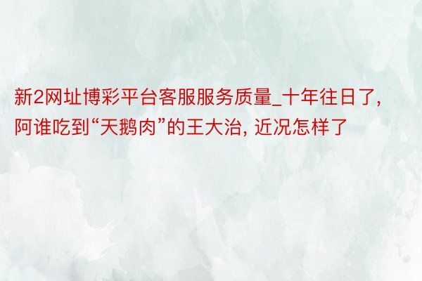 新2网址博彩平台客服服务质量_十年往日了， 阿谁吃到“天鹅肉”的王大治， 近况怎样了