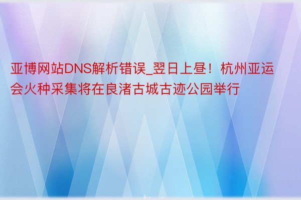 亚博网站DNS解析错误_翌日上昼！杭州亚运会火种采集将在良渚古城古迹公园举行